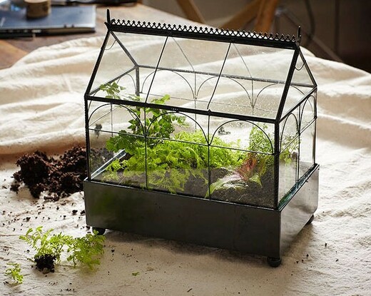 gardenista.com