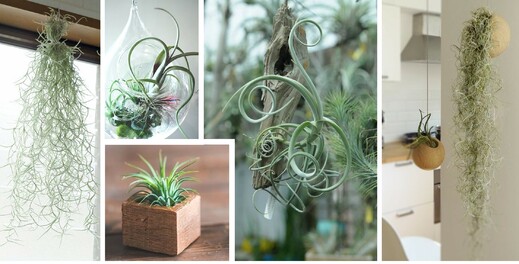 Pinterest.com